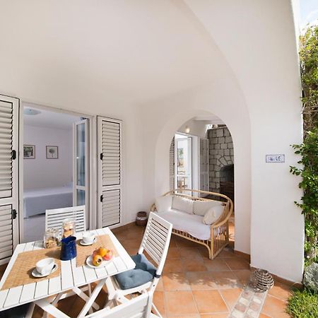 Casa Agave Apartment Forio di Ischia Екстериор снимка